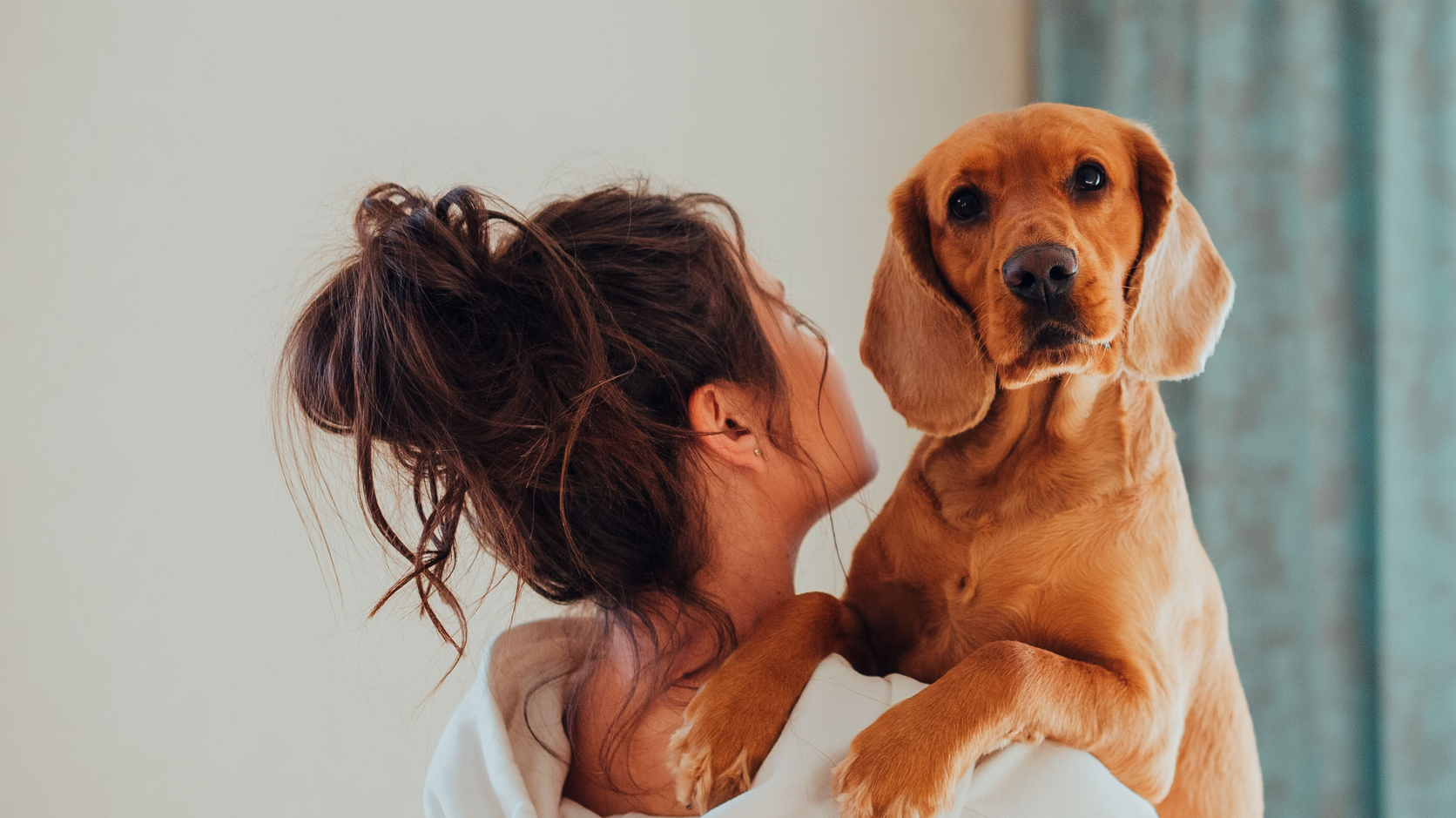 A woman in a white hoodie holds her golden cocker spaniel up to her shoulder in a sunlit room at home; the dog looks directly at the camera