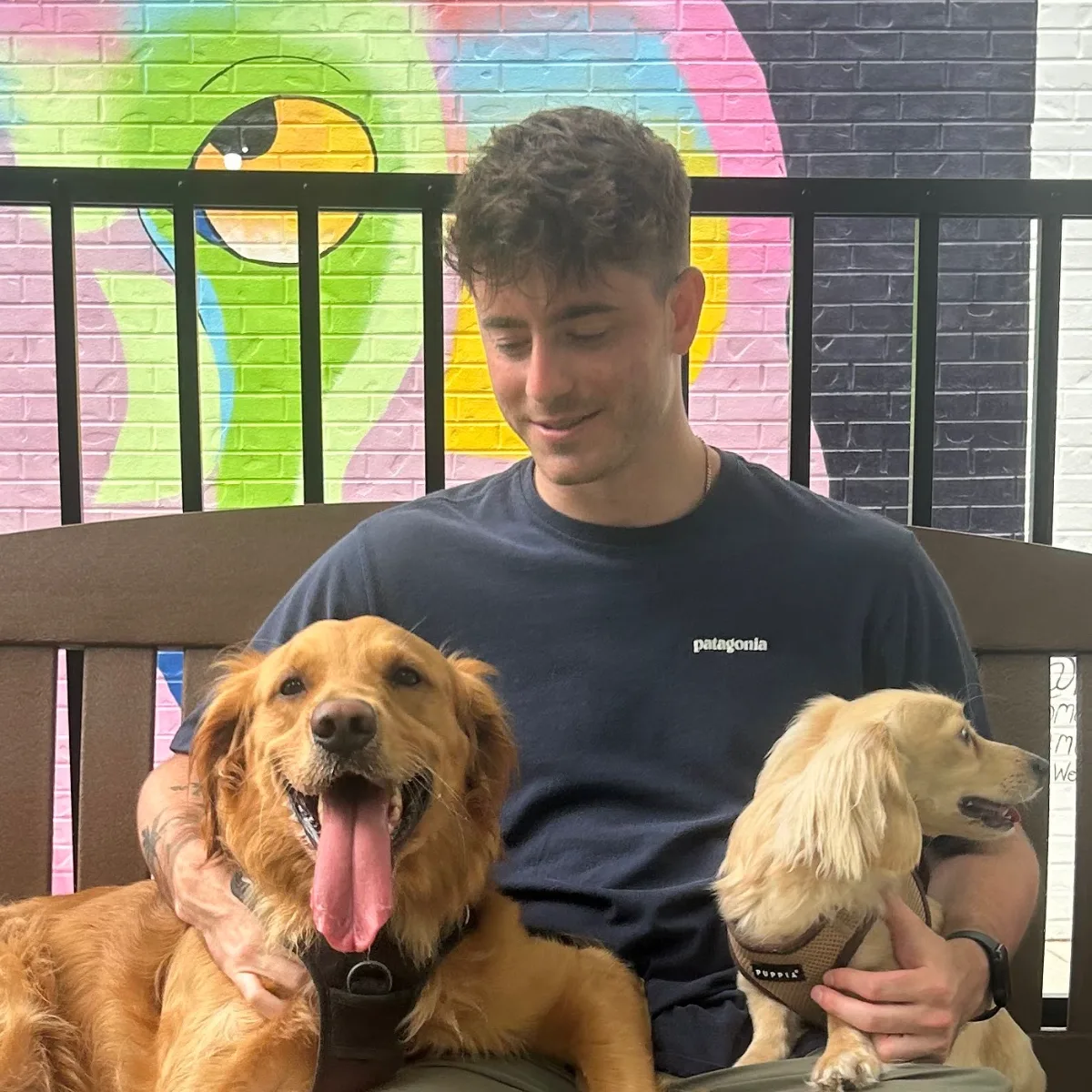 Scott Sagala, Geovo's founder, sitting on a bench with his golden retriever and a small long-haired cream dog