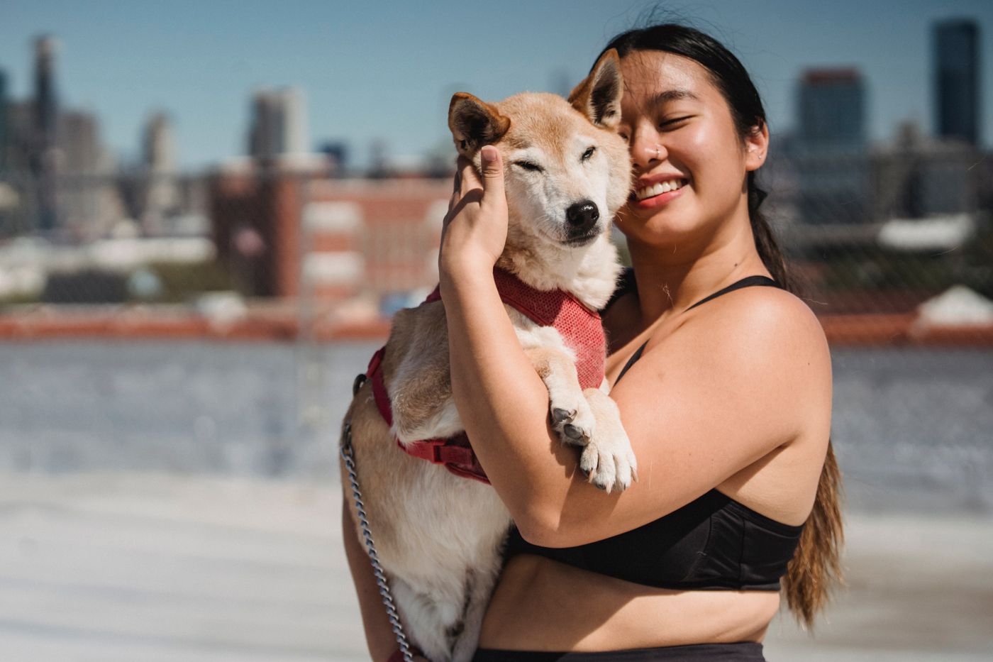 A woman hugging her shiba inu on an apartment rooftop, with the city skyline behind them