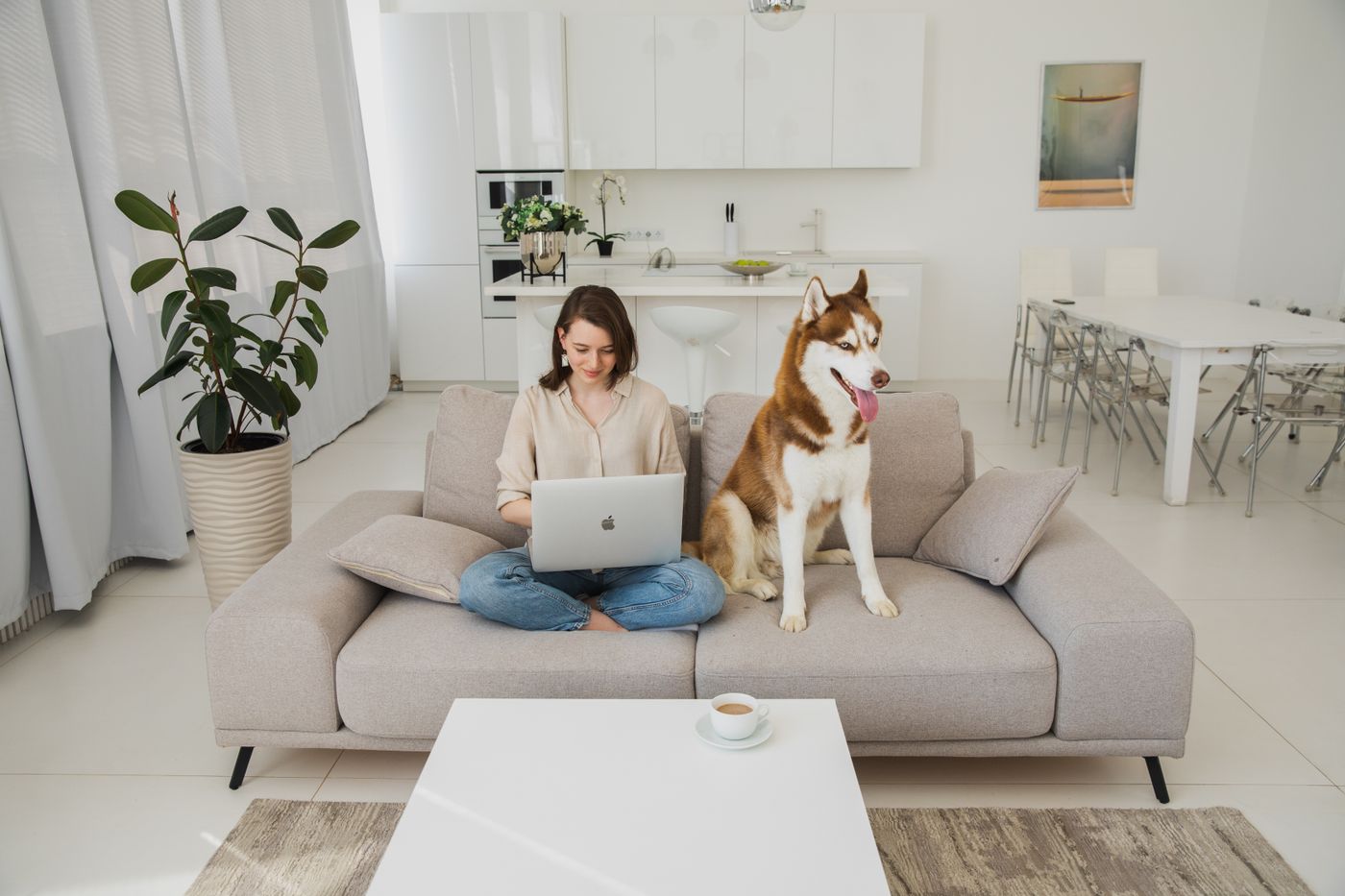 A woman browsing on a laptop on a white sofa, her husky sitting upright beside her