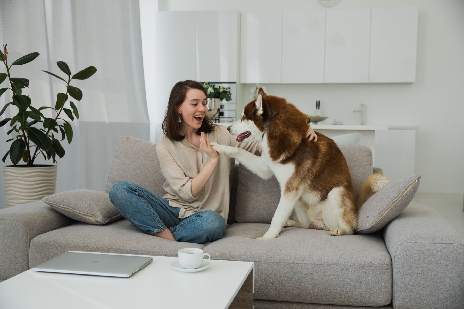 A woman sitting on her living-room couch high-fives her husky, with the apartment's kitchen visible behind them